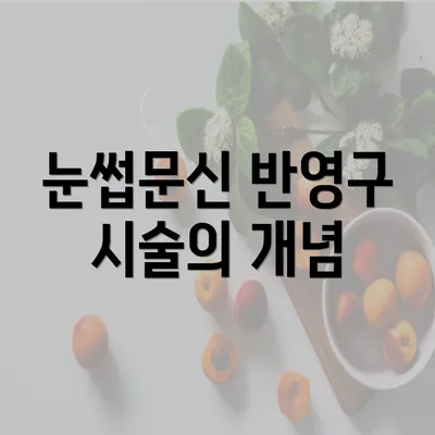 눈썹문신 반영구 시술의 개념