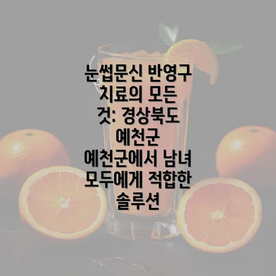 눈썹문신 반영구 치료의 모든 것: 경상북도 예천군 예천군에서 남녀 모두에게 적합한 솔루션