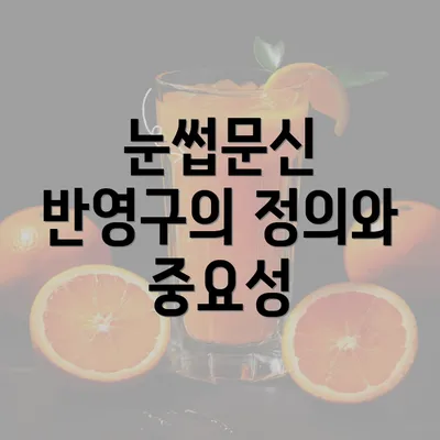 눈썹문신 반영구의 정의와 중요성