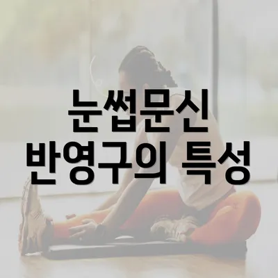 눈썹문신 반영구의 특성