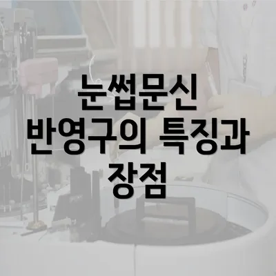 눈썹문신 반영구의 특징과 장점