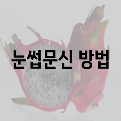 눈썹문신 방법