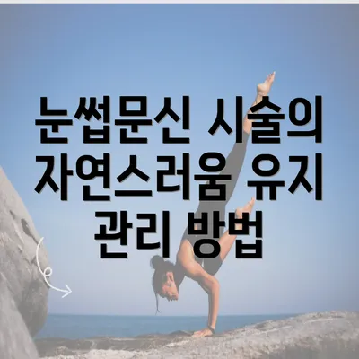 눈썹문신 시술의 자연스러움 유지 관리 방법