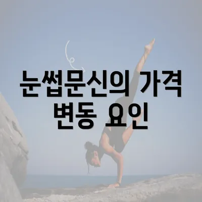 눈썹문신의 가격 변동 요인