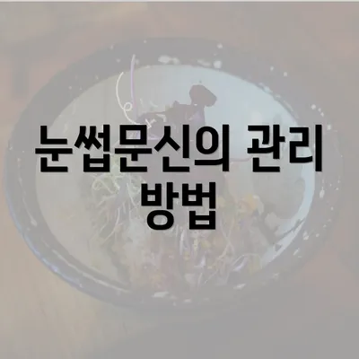 눈썹문신의 관리 방법