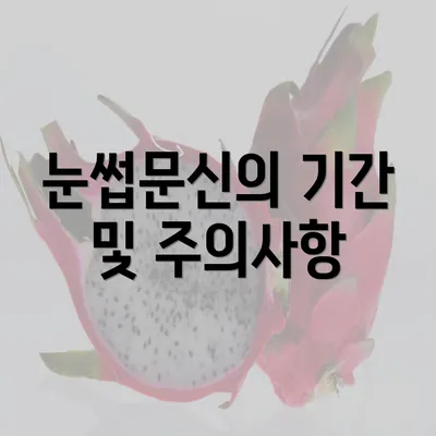 눈썹문신의 기간 및 주의사항