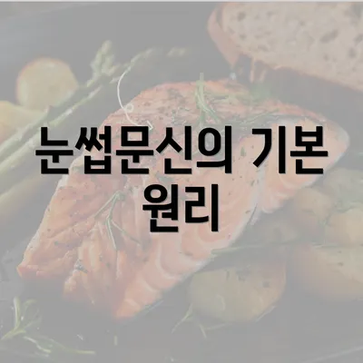 눈썹문신의 기본 원리