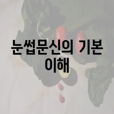 눈썹문신의 기본 이해