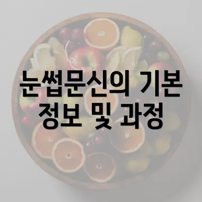 눈썹문신의 기본 정보 및 과정