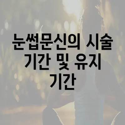 눈썹문신의 시술 기간 및 유지 기간