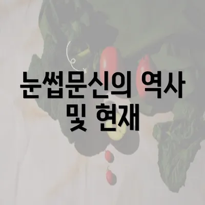 눈썹문신의 역사 및 현재