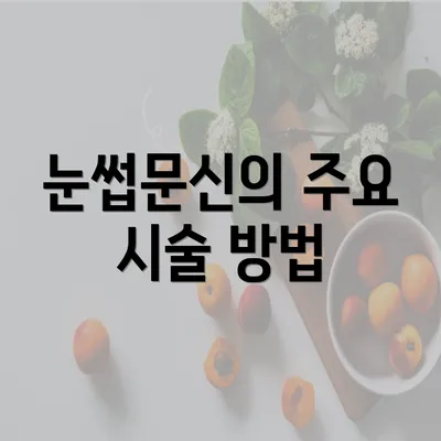 눈썹문신의 주요 시술 방법