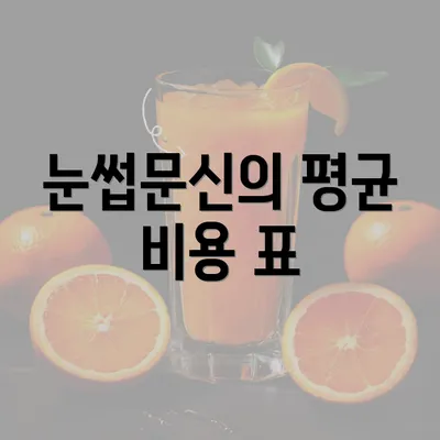 눈썹문신의 평균 비용 표