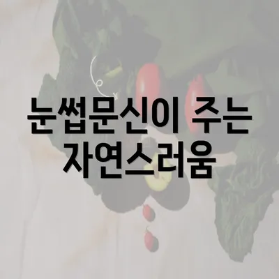 눈썹문신이 주는 자연스러움