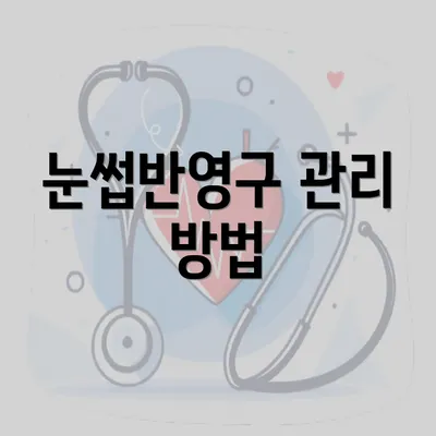 눈썹반영구 관리 방법