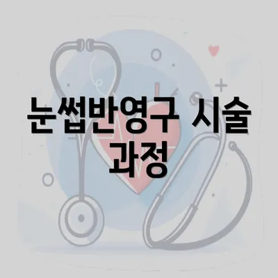 눈썹반영구 시술 과정