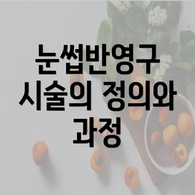 눈썹반영구 시술의 정의와 과정