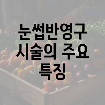 눈썹반영구 시술의 주요 특징