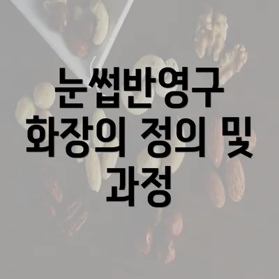 눈썹반영구 화장의 정의 및 과정