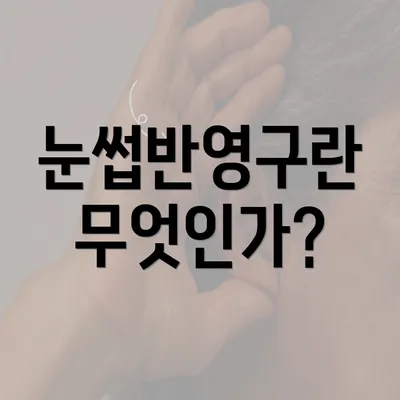 눈썹반영구란 무엇인가?