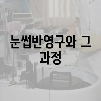 눈썹반영구와 그 과정