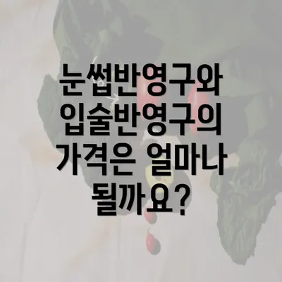 눈썹반영구와 입술반영구의 가격은 얼마나 될까요?