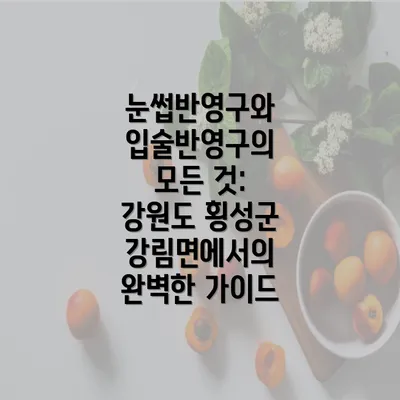 눈썹반영구와 입술반영구의 모든 것: 강원도 횡성군 강림면에서의 완벽한 가이드