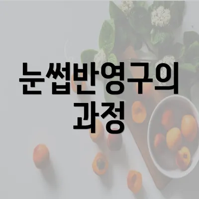 눈썹반영구의 과정