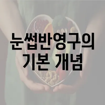 눈썹반영구의 기본 개념