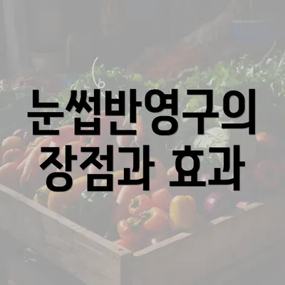 눈썹반영구의 장점과 효과