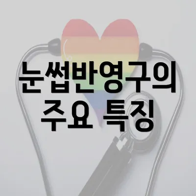 눈썹반영구의 주요 특징