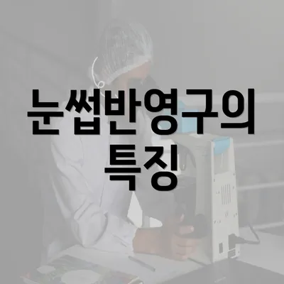 눈썹반영구의 특징