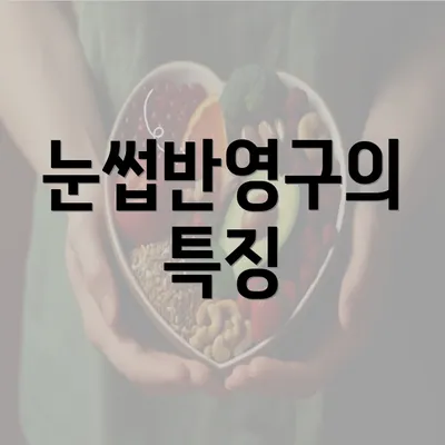 눈썹반영구의 특징