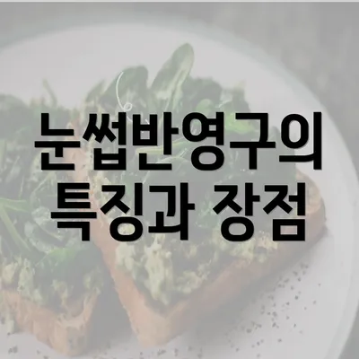 눈썹반영구의 특징과 장점