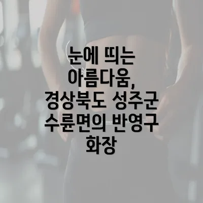 눈에 띄는 아름다움, 경상북도 성주군 수륜면의 반영구 화장