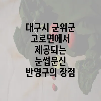 대구시 군위군 고로면에서 제공되는 눈썹문신 반영구의 장점