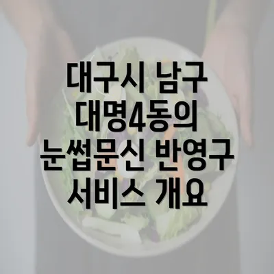 대구시 남구 대명4동의 눈썹문신 반영구 서비스 개요