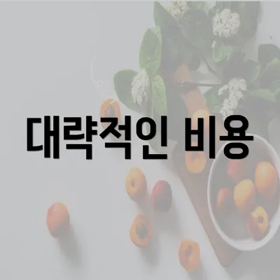 대략적인 비용