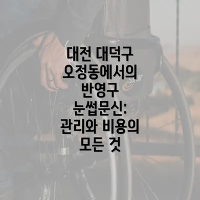 대전 대덕구 오정동에서의 반영구 눈썹문신: 관리와 비용의 모든 것