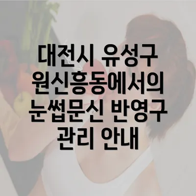 대전시 유성구 원신흥동에서의 눈썹문신 반영구 관리 안내