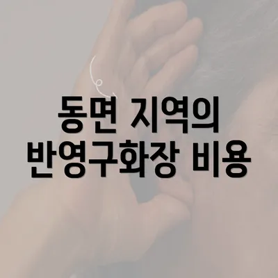 동면 지역의 반영구화장 비용