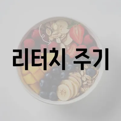 리터치 주기