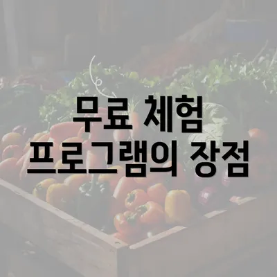 무료 체험 프로그램의 장점