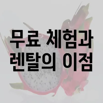 무료 체험과 렌탈의 이점