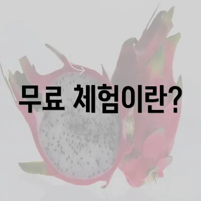 무료 체험이란?