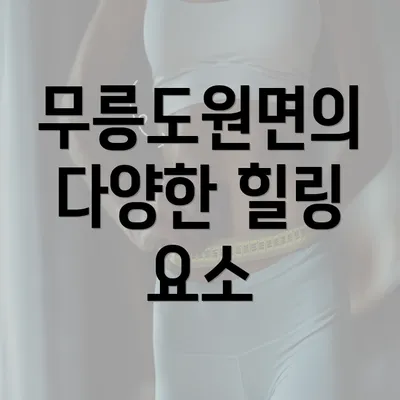 무릉도원면의 다양한 힐링 요소