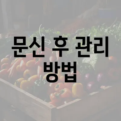 문신 후 관리 방법