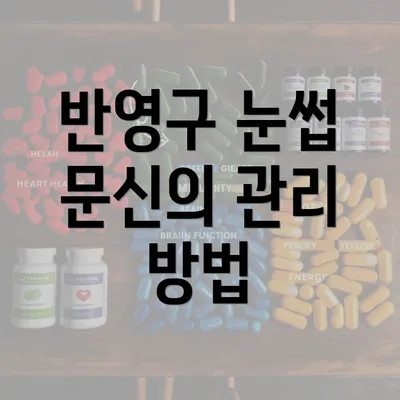 반영구 눈썹 문신의 관리 방법