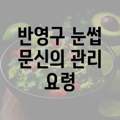 반영구 눈썹 문신의 관리 요령