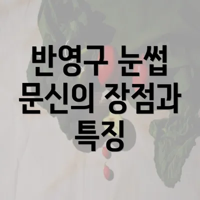 반영구 눈썹 문신의 장점과 특징